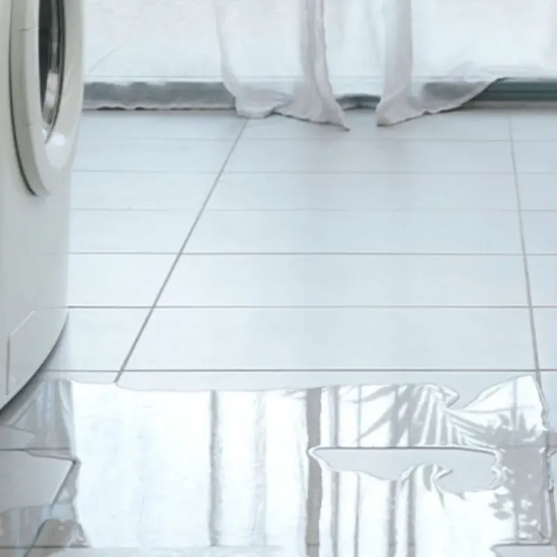 Appliance Leak Cleanup in Cross County, AR