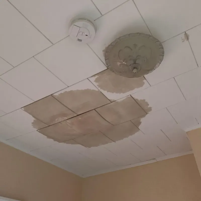 Ceiling Water Damage Repair in Cross County, AR