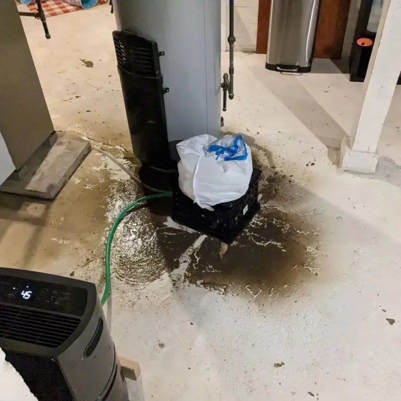 Sewage Backup Cleanup Service in Cross County, AR